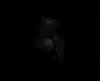 M78 fx.png