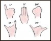 rulesofthumb - fx.jpg