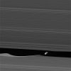 Daphnis a.jpg