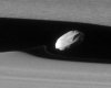 Daphnis b.jpg