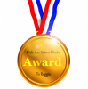 Kick Ass Award.png