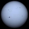 2023 01-17 Sun Sized.jpg