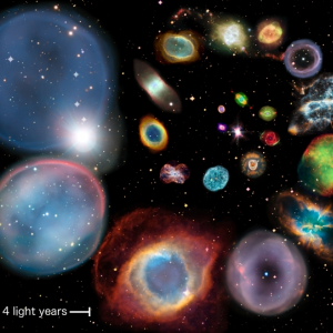 Breakdown Of Size Of Nebulae (PNG)